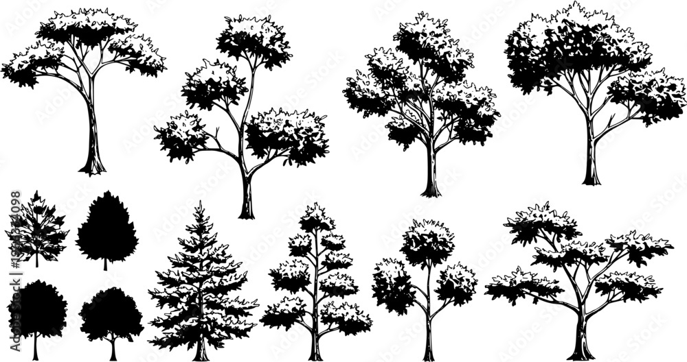 Fototapeta premium Diverse collection of hand-drawn tree illustrations and detailed silhouettes, featuring various species and shapes for nature, landscape, and design projects.