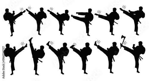 Martial Arts Silhouette Sequence: Karate Kick Motion Study