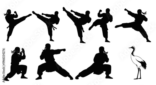 Martial Arts Silhouettes and Crane Bird Icon