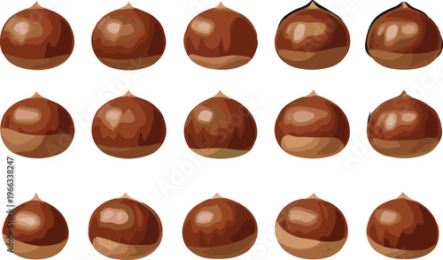 Chestnut collection with whole roasted nuts brown autumn food ingredient vector illustration set