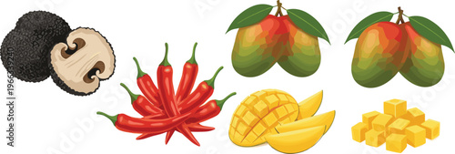 Exotic food collection with truffle mushroom, chili peppers, mango and tropical fruits vector illustration set