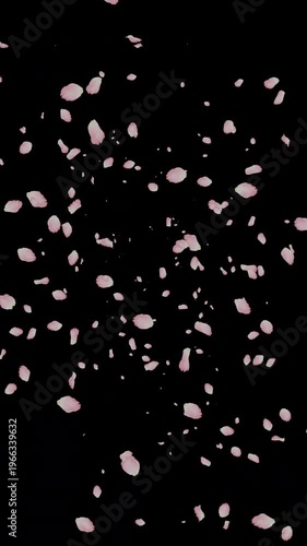 Vertical Cherry Blossom Petals Burst from Center on Transparent Background (Alpha Channel)｜縦構図で中央から舞い広がる桜の花びら アルファチャンネル付き透過素材