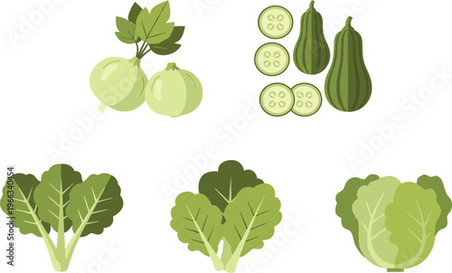 Green vegetables collection with cabbage broccoli cucumber and gourds fresh organic food vector illustration set isolated on white background