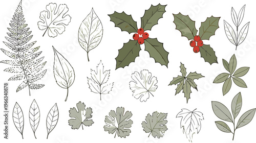 Hand drawn leaf collection with botanical foliage holly berries and outline sketches nature vector illustration set isolated on white background