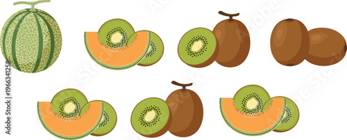 Melon and kiwi fruit collection with whole and sliced pieces fresh organic vector illustration set