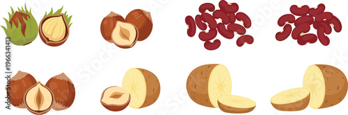 Nut and legume collection with hazelnut, cashew and potato slices fresh organic food vector illustration set