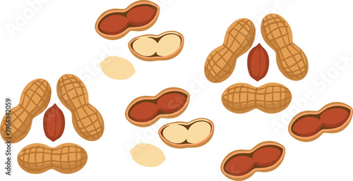 Peanut collection with whole shells and peeled nuts, seeds and halves food vector illustration set