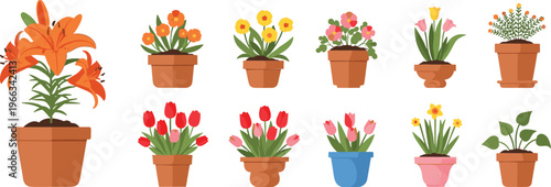 Potted flower collection with lily tulip and houseplants colorful garden plants vector illustration set isolated on white background