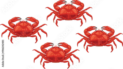 Red crab seafood collection with multiple crabs isolated detailed marine animal vector illustration set