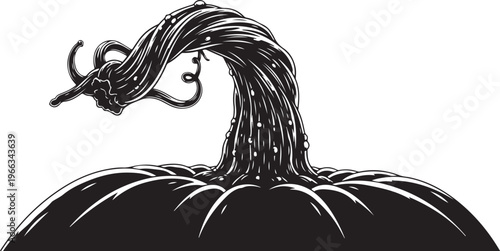Black and white illustration of a pumpkin with stem