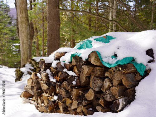 A neatly stacked pile of cut firewood sits partially covered by a green tarp and thick layer of fresh white snow in Gatineau Park, Quebec