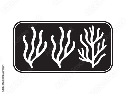 Three white stylized seaweed plants on a black background kelp marine life underwater