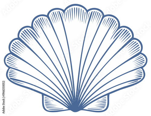 Elegant blue line art seashell illustration marine life aquatic beauty