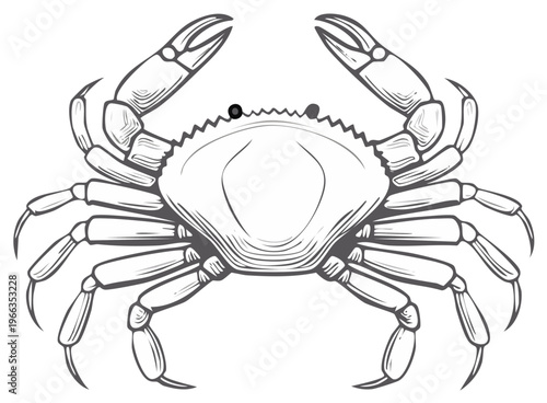 Stylized Line Art of a Crab with Claws Raised and Legs Outspread