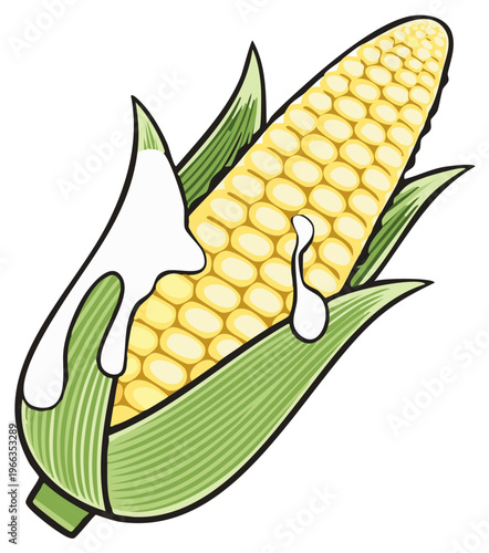 Illustration of a Fresh Ear of Corn with Husk and Dripping Butter, Highlighting Natural Food and Farm Fresh Goodness