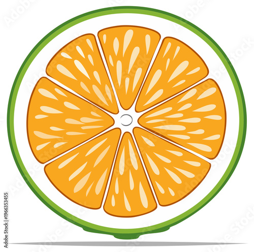 Stylized citrus slice with orange pulp and green rind
