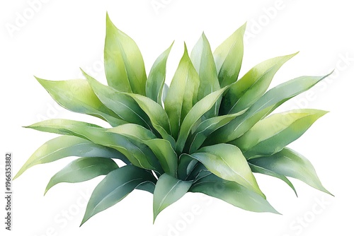 Lush Green Plant with Vibrant Leaves Ideal for Decorative and Nature-Themed Design Projects