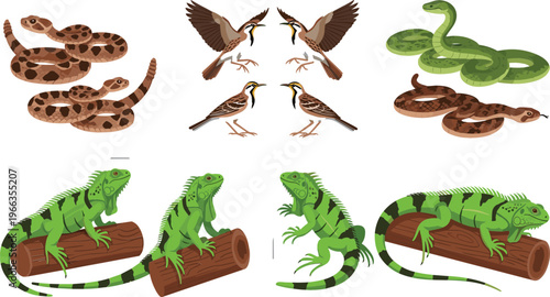 Wildlife vector illustration set with iguanas on logs, flying and perched birds, and coiled snakes isolated animal collection