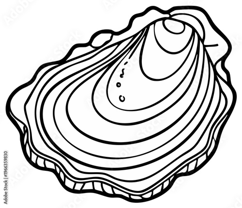 Open Oyster Shell Line Art: Close-up Vector Illustration of Seafood Gastropod, Detailed Interior Pattern