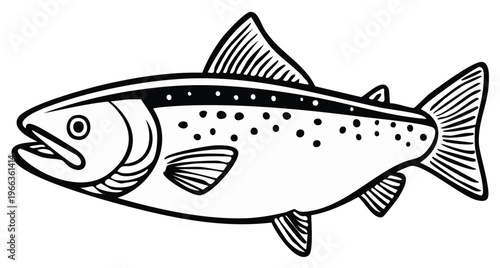 Salmon fish outline illustration, sea life animal icon vector drawing, trout with spots