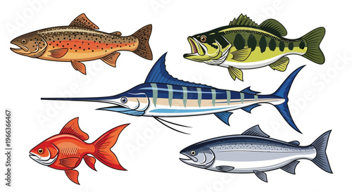 Collection of Diverse Fish Species: Marlin, Salmon, Trout, Bass, Goldfish