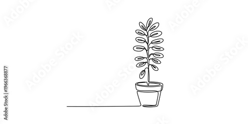 Minimalist continuous line drawing of a small potted houseplant on a clean white background Vector, illustration