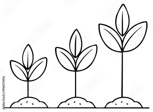 Three Growing Plants Showing Stages of Development Illustration
