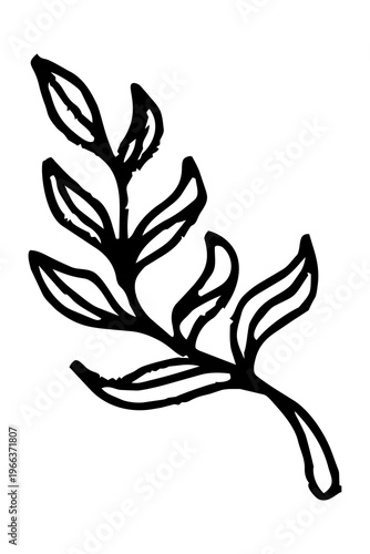 PNG Elegant botanical line art on transparent background