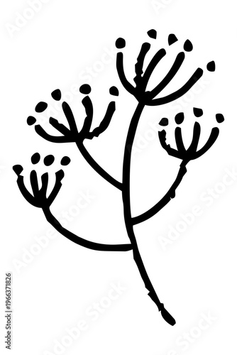 PNG Minimalist botanical line art on transparent background