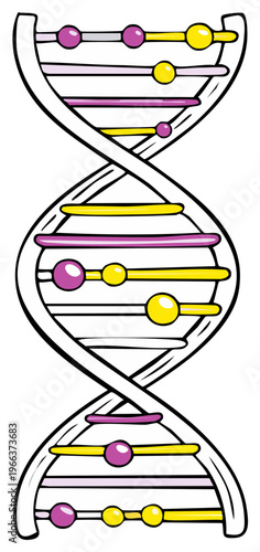Cartoon DNA Model, Double Helix with Chromosomes, Genetic Information
