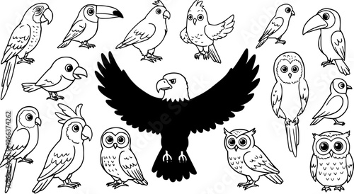Cute cartoon black and white birds collection line art drawing with eagle, owls, parrots, toucans. Outline set for coloring book, kids activities, and design elements.