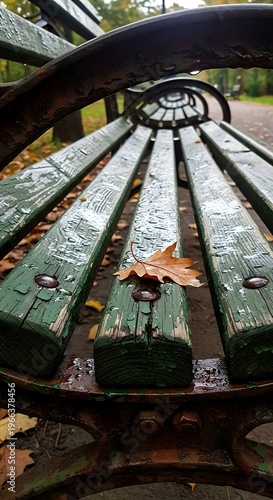 Autumnal park bench detail with fallen leaf and raindrops.