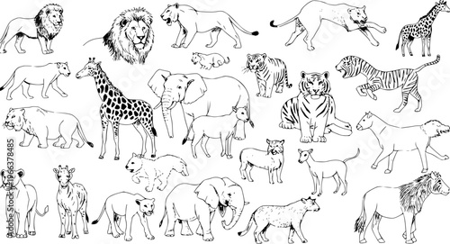 Detailed line art illustrations of wild safari animals: lions, tigers, elephants, giraffes, zebras, and deer. Hand-drawn collection.