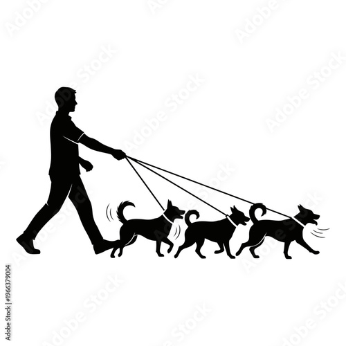 Silhouette of a Person Walking Three Energetic Dogs on Leashes Pet Sitting Gig Economy