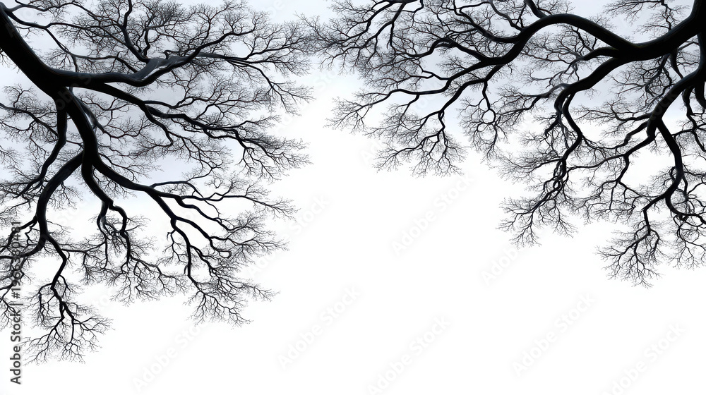 Obraz premium Bare tree branches against a bright sky, creating a visually striking contrast