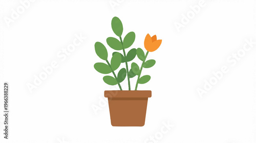 Potted Plant with Green Leaves.