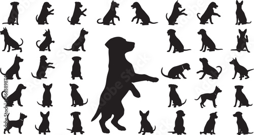 dog training and behavior flat design vector illustration set