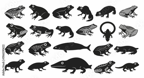 vector illustration set of amphibian animal silhouettes on white background