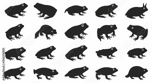 vector illustration set of amphibian animal silhouettes on white background