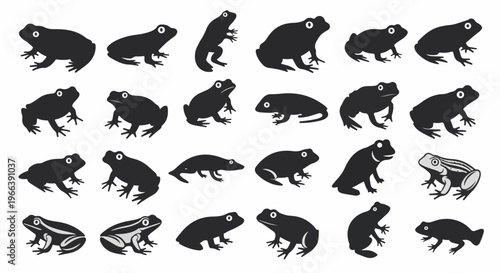 vector illustration set of amphibian animal silhouettes