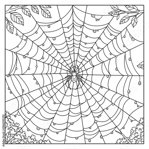 A spider sitting in the center of a large cobweb