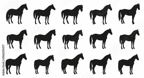 horse silhouette set vector illustration