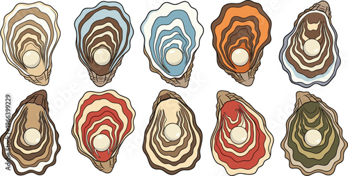 Natural oyster shell variations with layered textures and pearls detailed seafood vector illustration collection