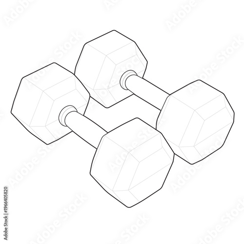 Isometric hexagonal dumbbells pair linear illustration