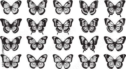 Black and white butterflies illustration on plain background