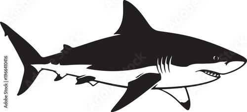 Black and white shark swimming in the ocean waters