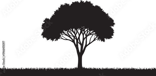 Silhouette of a tree on a white background landscape