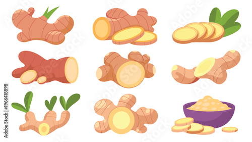 Ginger root slices pieces and powder spice ingredient illustration set