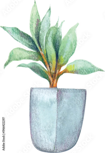 Watercolor Potted Plant Illustration