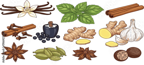 Aromatic Spices and Herbs Collection with Vanilla, Cinnamon, Ginger, Garlic and Cardamom, Hand Drawn Food Illustration Set for Cooking, Organic Ingredients, and Culinary Design